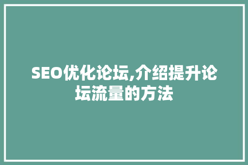 SEO优化论坛,介绍提升论坛流量的方法
