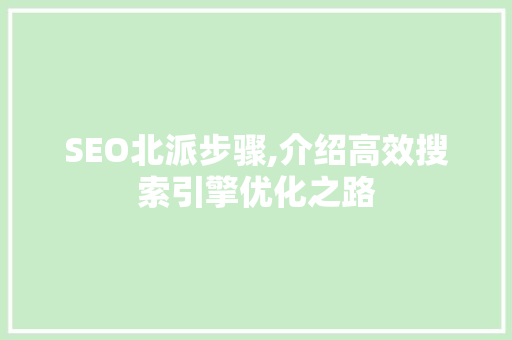 SEO北派步骤,介绍高效搜索引擎优化之路