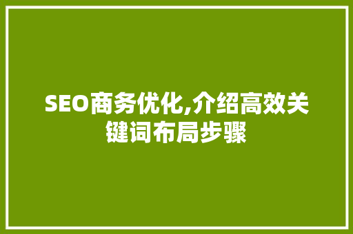 SEO商务优化,介绍高效关键词布局步骤