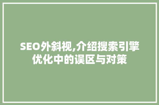 SEO外斜视,介绍搜索引擎优化中的误区与对策