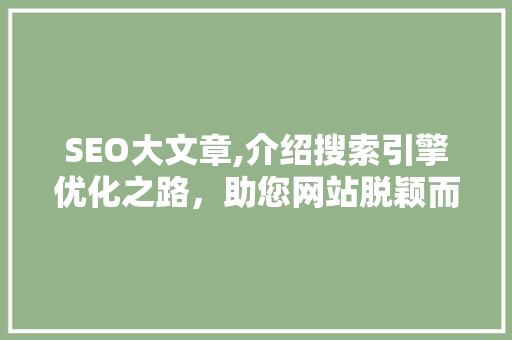 SEO大文章,介绍搜索引擎优化之路，助您网站脱颖而出