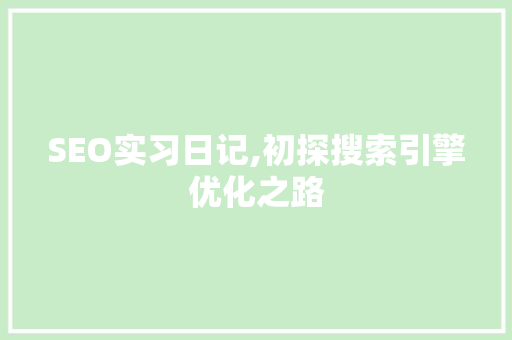SEO实习日记,初探搜索引擎优化之路