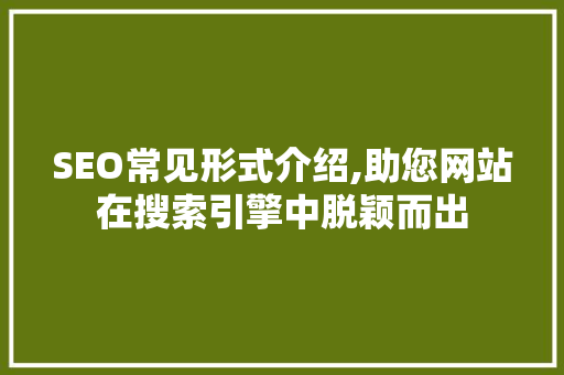 SEO常见形式介绍,助您网站在搜索引擎中脱颖而出