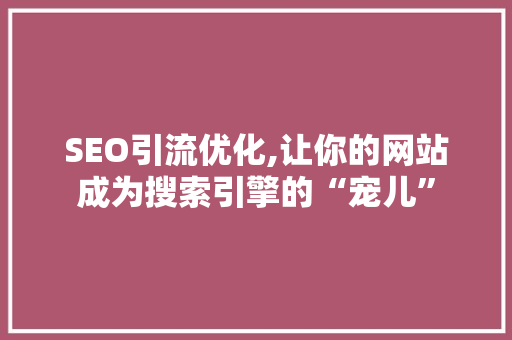 SEO引流优化,让你的网站成为搜索引擎的“宠儿”