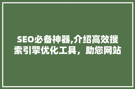 SEO必备神器,介绍高效搜索引擎优化工具，助您网站排名一路飙升！