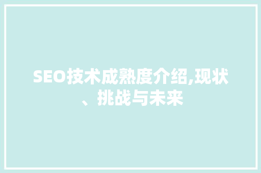 SEO技术成熟度介绍,现状、挑战与未来