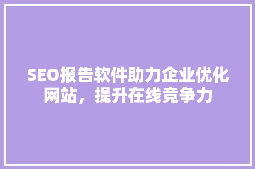 SEO报告软件助力企业优化网站，提升在线竞争力  第1张