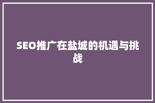 SEO推广在盐城的机遇与挑战