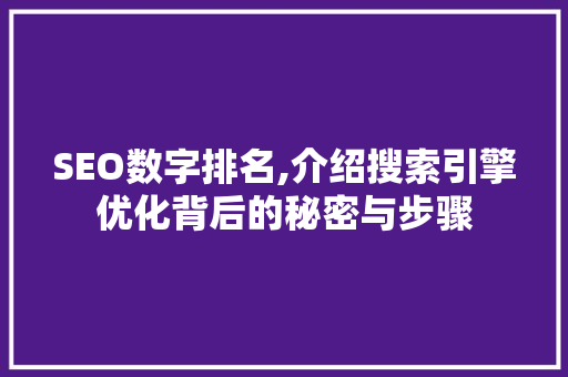 SEO数字排名,介绍搜索引擎优化背后的秘密与步骤  第1张
