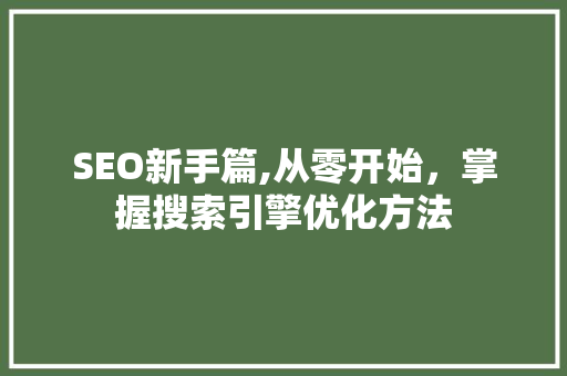 SEO新手篇,从零开始，掌握搜索引擎优化方法