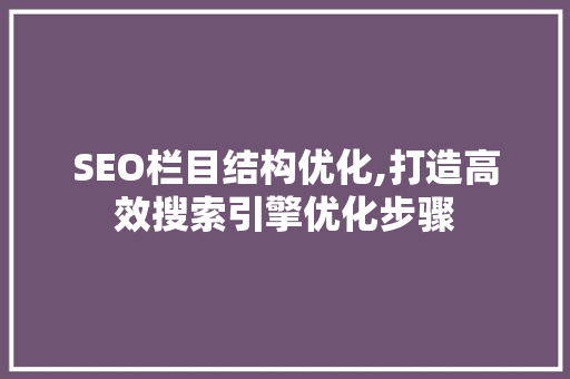 SEO栏目结构优化,打造高效搜索引擎优化步骤