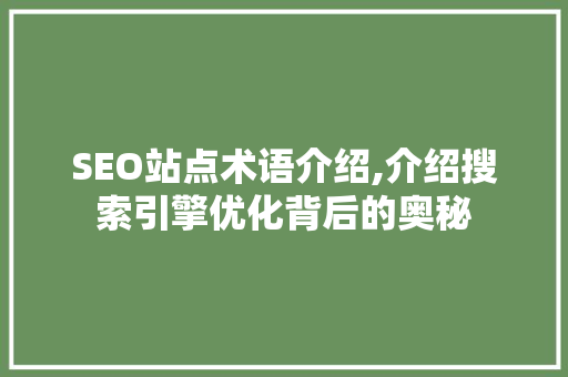 SEO站点术语介绍,介绍搜索引擎优化背后的奥秘