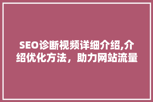 SEO诊断视频详细介绍,介绍优化方法，助力网站流量腾飞