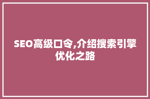 SEO高级口令,介绍搜索引擎优化之路  第1张