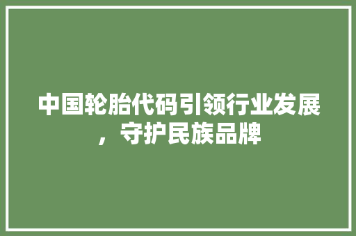 中国轮胎代码引领行业发展，守护民族品牌