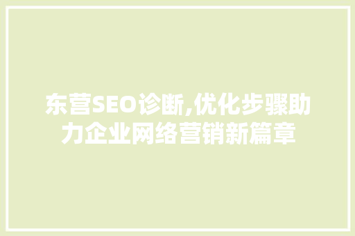 东营SEO诊断,优化步骤助力企业网络营销新篇章