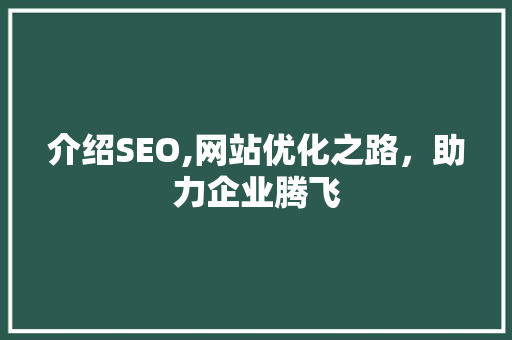 介绍SEO,网站优化之路，助力企业腾飞