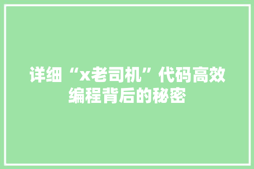 详细“x老司机”代码高效编程背后的秘密