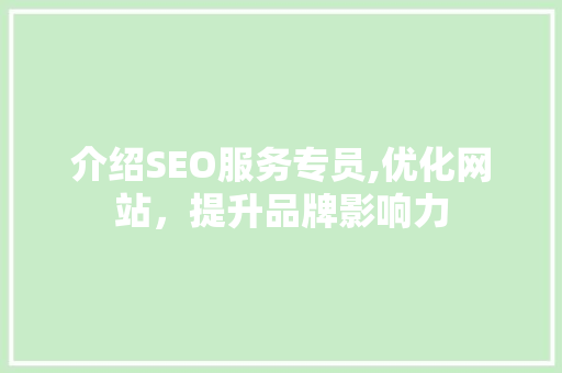 介绍SEO服务专员,优化网站，提升品牌影响力
