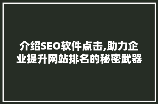 介绍SEO软件点击,助力企业提升网站排名的秘密武器