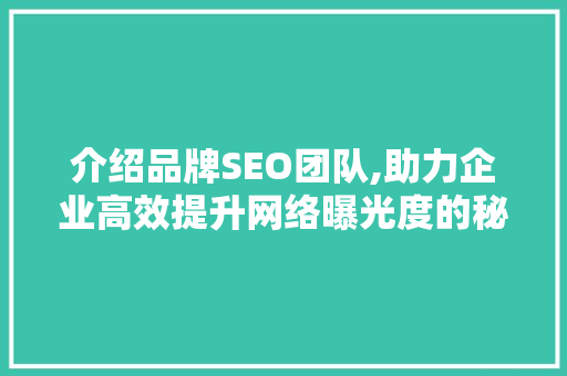 介绍品牌SEO团队,助力企业高效提升网络曝光度的秘密武器