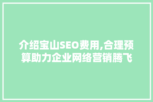 介绍宝山SEO费用,合理预算助力企业网络营销腾飞