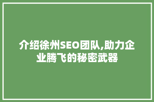 介绍徐州SEO团队,助力企业腾飞的秘密武器