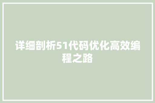 详细剖析51代码优化高效编程之路  第1张