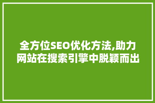 全方位SEO优化方法,助力网站在搜索引擎中脱颖而出