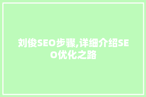 刘俊SEO步骤,详细介绍SEO优化之路