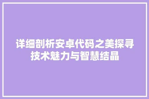 详细剖析安卓代码之美探寻技术魅力与智慧结晶