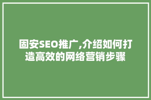 固安SEO推广,介绍如何打造高效的网络营销步骤  第1张