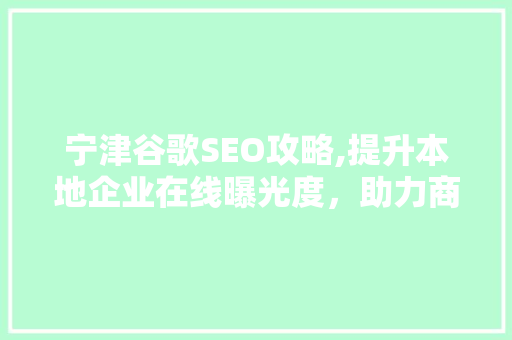 宁津谷歌SEO攻略,提升本地企业在线曝光度，助力商业发展