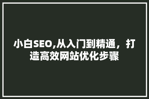 小白SEO,从入门到精通，打造高效网站优化步骤