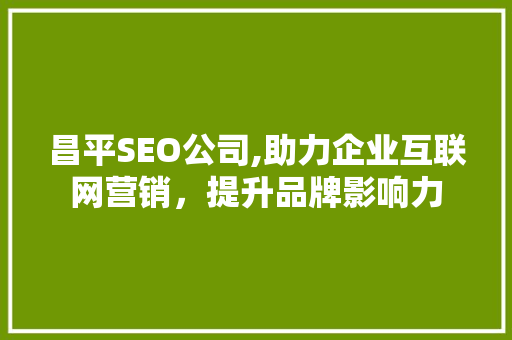 昌平SEO公司,助力企业互联网营销，提升品牌影响力