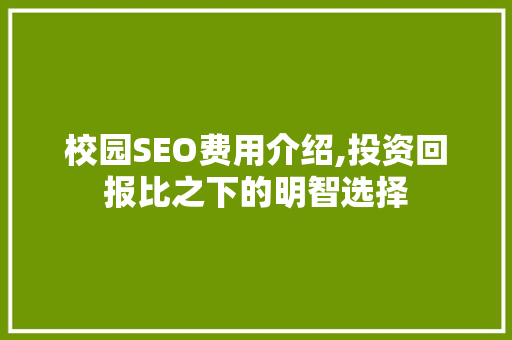 校园SEO费用介绍,投资回报比之下的明智选择