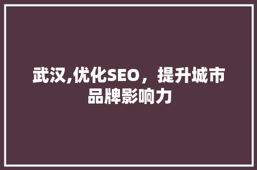 武汉,优化SEO，提升城市品牌影响力  第1张