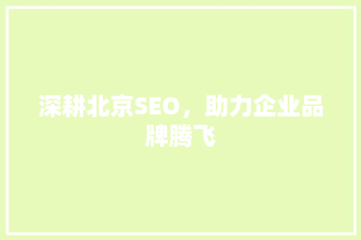 深耕北京SEO，助力企业品牌腾飞