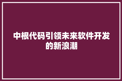中根代码引领未来软件开发的新浪潮