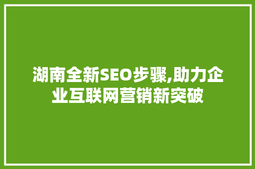 湖南全新SEO步骤,助力企业互联网营销新突破