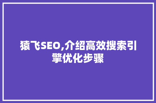 猿飞SEO,介绍高效搜索引擎优化步骤