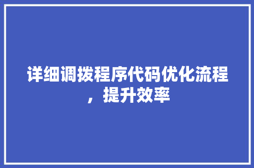 详细调拨程序代码优化流程，提升效率