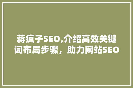 蒋疯子SEO,介绍高效关键词布局步骤，助力网站SEO优化