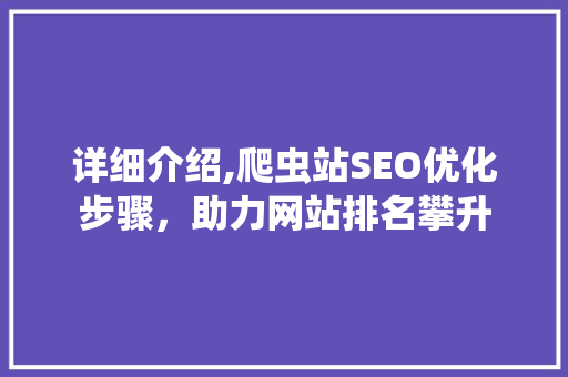 详细介绍,爬虫站SEO优化步骤，助力网站排名攀升