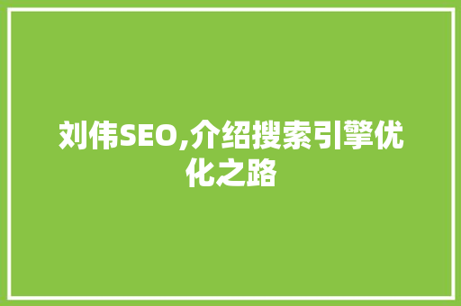 刘伟SEO,介绍搜索引擎优化之路