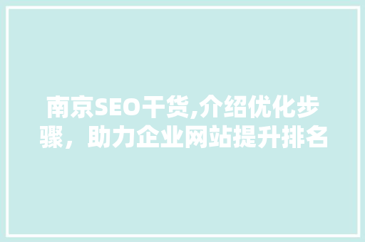 南京SEO干货,介绍优化步骤，助力企业网站提升排名
