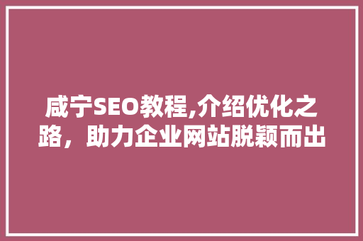 咸宁SEO教程,介绍优化之路，助力企业网站脱颖而出
