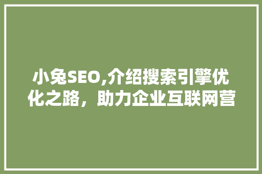 小兔SEO,介绍搜索引擎优化之路，助力企业互联网营销