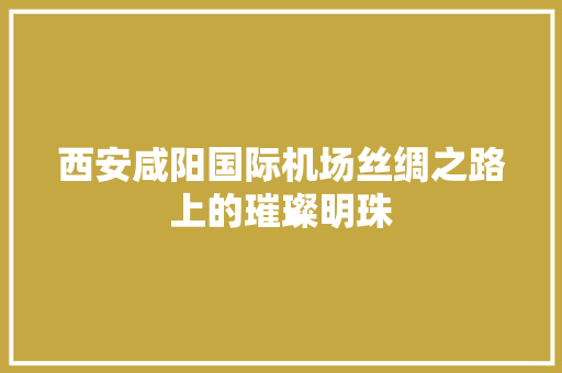 西安咸阳国际机场丝绸之路上的璀璨明珠