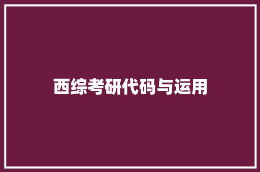 西综考研代码与运用